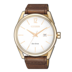 Citizen Gents Watch Eco-drive STRP SSYP WR100