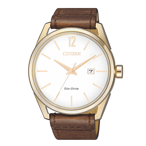 Citizen Gents Watch Eco-drive STRP SSYP WR100