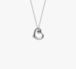 Evolve Necklaces Heart of NZ Necklace (Love, Endearment) 4N10005