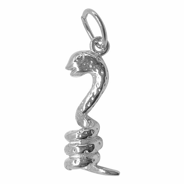 Traditional Silver Charm Coiled_Snake_large